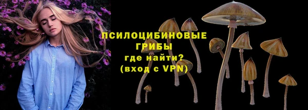 героин Алзамай