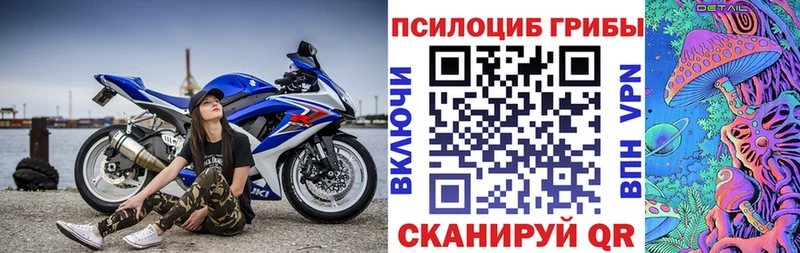 Псилоцибиновые грибы Psilocybe  закладка  OMG ссылки  Ковылкино 