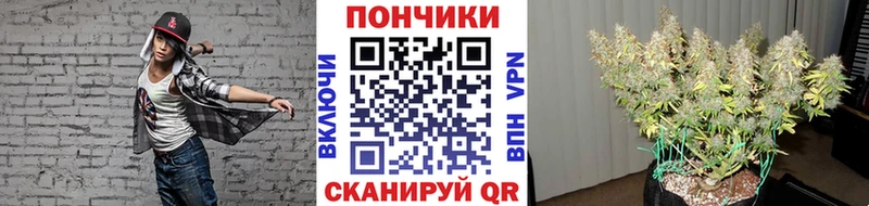 blacksprut зеркало  Ковылкино  Канабис SATIVA & INDICA 